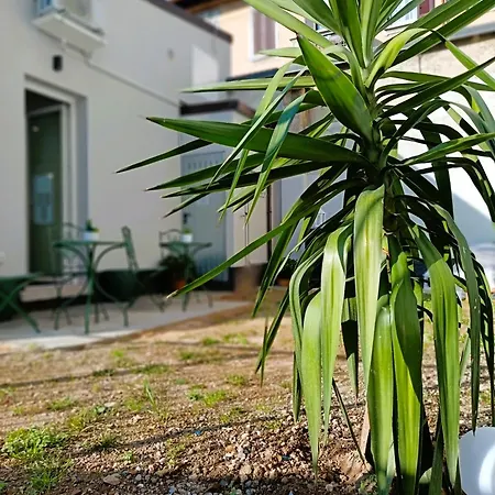 Apartament Orelli House